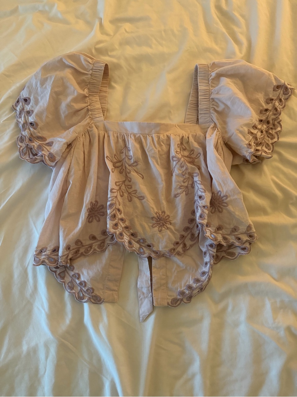 American Eagle Outfitters Blush Pink Embroidered Puff Sleeve Crop Top